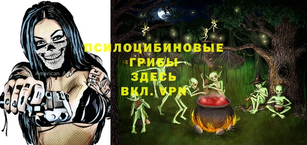 Альфа ПВП Гусь-Хрустальный
