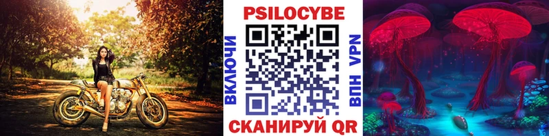 Галлюциногенные грибы Psilocybine cubensis Крымск